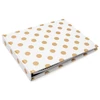 Heidi Swapp - Storyline 2 Brag Book - Gold Dot