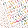 Pink Paislee - Paige Evans Whimsical Mini Foam Alphabet - Happy Life (494 Piece)
