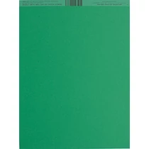 Bazzill 8.5x11 Smoothies Cardstock - Green Apple Bazzill 8.5x11 Smoothies Cardstock - Green Apple