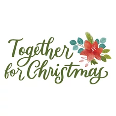 Pink Paislee - Together for Christmas