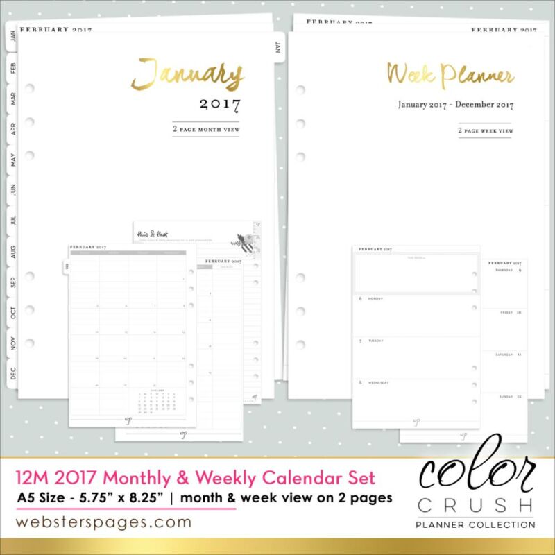 Websters Pages  - Week and Month Calendar 2017 - A4